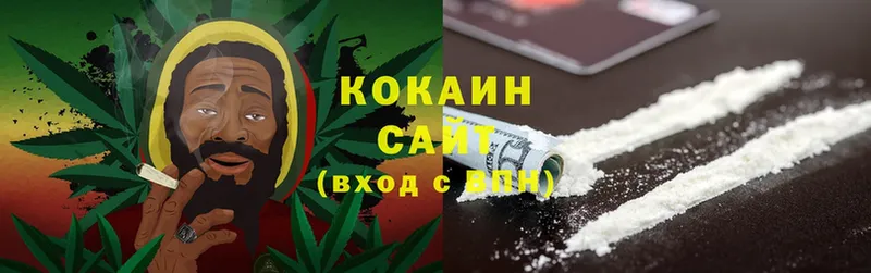 Cocaine Fish Scale  mega как зайти  Валдай  купить наркоту 